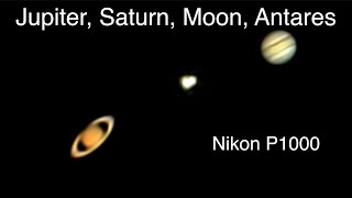 Two Planets a Star and a Moon  Nikon P1000 Camera [upl. by Holna]