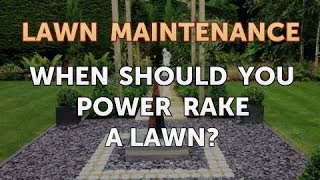 When Should You Power Rake a Lawn [upl. by Ynavoeg]