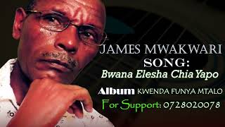 James Mwakwari  Bwana elesha chia yapoOfficial Audio [upl. by Kreg429]