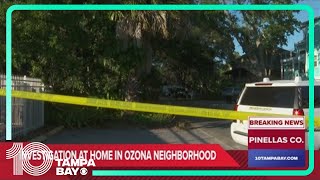 Pinellas County deputies respond to disturbance in Ozona neighborhood [upl. by Melentha]