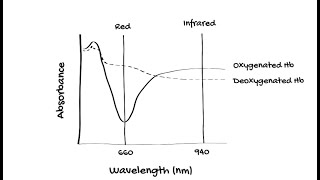 How does Pulse Oximetry work [upl. by Ttennaej]