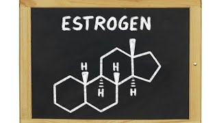 EstroneOestroneOestrogen Introduction Structure SynthesisVery Easy Way Important Of MSc [upl. by Ettenig116]