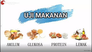 UJI MAKANAN Amilum Glukosa Protein dan Lemak  Praktikum Biologi [upl. by Fiel]