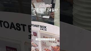 싱가포르 교환학생 24일차popular bookstore 토스트 박스 싱가포르 브이로그 vlog smu singapore [upl. by Janean]