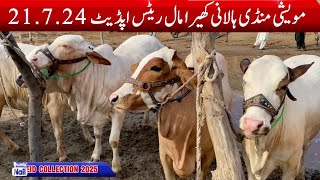 Cow Mandi Vlog  New Price Update  Maveshi Mandi Halani  VetAsadullah [upl. by Hewes159]