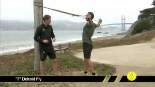 TRX quotTquot Deltoid Fly [upl. by Hairym]