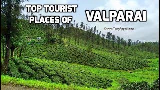 Valparai  Valparai Tourist Places  Top 10 Tourist Attractions of Valparai [upl. by Enilra]