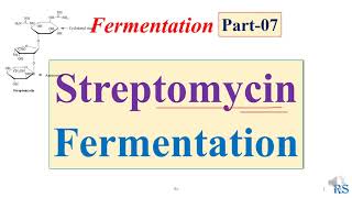 108 Streptomycin Fermentation  Microbial Production of Streptomycin [upl. by Wavell270]