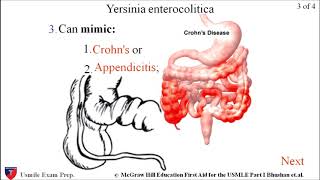 Yersinia enterocolitica Microbiology  USMLE Exam Prep [upl. by Martinelli]