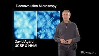 Microscopy Deconvolution Microscopy David Agard [upl. by Royall]