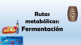 Rutas metabólicas fermentación [upl. by Htezil384]