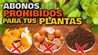 ¡CUIDADO Estos ABONOS CASEROS son PELIGROSOS para tus PLANTAS  Abono Casero Jardin o Huerto Urbano [upl. by Gerhard400]