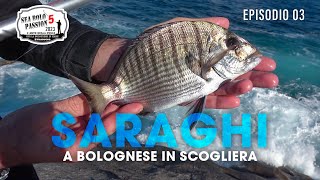 Pescare a BOLOGNESE i SARAGHI in Scogliera  Sea Bolo Passion » Sea BOLO Passion S5E3 [upl. by Nasas]