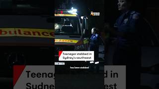 Teenager stabbed in Campsie Sydney [upl. by Carmen]