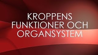 Människokroppen  organsystem [upl. by Neerbas]