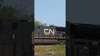 CN Intermodal train with a friendly driver railway cnrailway automobile railfan [upl. by Telrahc867]