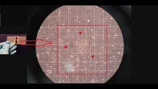 Hemocytometer  Counting of cells  Amrita University [upl. by Vasilis895]