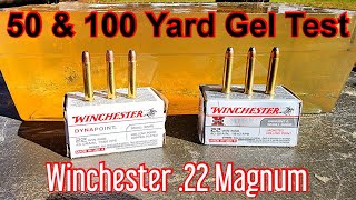 Winchester Super X amp Dyna Point 22WMR Ballistic Gel Test at 50 amp 100 Yards  22 Magnum [upl. by Vtarj851]