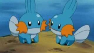 Mudkip The Insane Edition [upl. by Neelon]