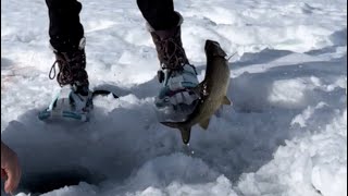 Maine Ice Fishing SCHOODIC Lake [upl. by Blim258]