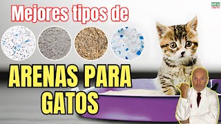 🐱 ¿CUALES SON LOS MEJORES TIPOS DE ARENA PARA GATOS 🐱 [upl. by Chiarra]