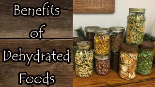 Benefits of Dehydrated Foods [upl. by Sherwynd]