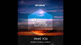 DE GRAAL  What You Toly Braun Remix [upl. by Qulllon]