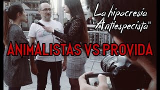 ANIMALISTAS vs PROVIDA [upl. by Hcirdla543]