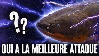 5 ANIMAUX avec les MEILLEURES ATTAQUES [upl. by Neehar]