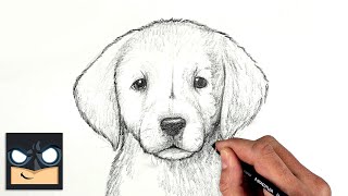 How To Draw a DOG  GOLDEN LAB PUPPY  Sketch Saturday [upl. by Nayab628]