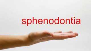 How to Pronounce sphenodontia  American English [upl. by Celestina966]