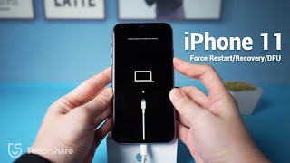 iPhone 11 How to Force Restart Recovery Mode DFU Mode [upl. by Kosiur267]