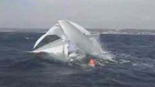 EXTREME SAILING Best of [upl. by Ellennahc317]