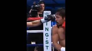 Pacquiao vs Margarito boxing [upl. by Ydnir]