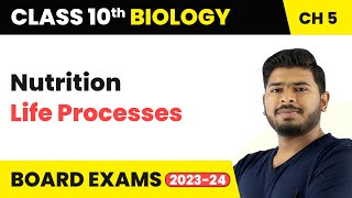 Class 10 Biology Chapter 6  Nutrition in Human Beings Buccal Cavity  Life Processes [upl. by Snebur]