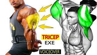 Tricep Workout For INSANE GAINS [upl. by Helsie]