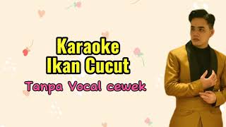 Karaoke Ikan Cucut Tanpa vocal cewek Karaoke duet [upl. by Retnuh]