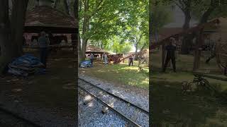 Threshing Wheat with Horses at Rough and Tumble Threshermans reunion 2024 threshingwheat oldtimer [upl. by Soloman562]