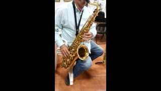 Saxofon tenor Startone sts75 [upl. by Bartholomew]