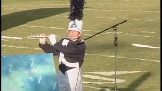 2017 Powdersville HS Marching Band [upl. by Yrrej948]