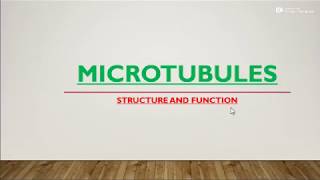 microtubules simply explained [upl. by Micah]