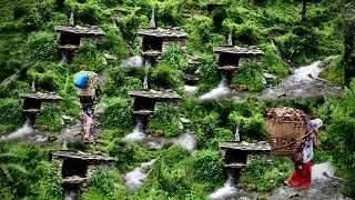 Beautiful Nepali mountain village life simpal happy life style  Eastern Rural Nepal Quest [upl. by Joannes]