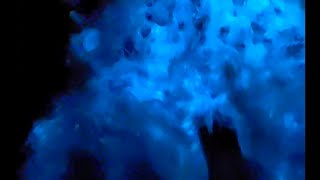 Walking through the BIOLUMINESCENT Algae in Croatia [upl. by Berthoud]