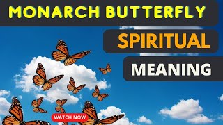 Monarch Butterfly Spiritual Meaning [upl. by Lanor414]