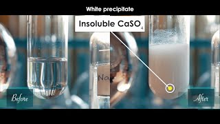 What happen when Calcium chloride CaCl2 react with Sodium sulphate Na2SO4  CaCl2Na2SO4 [upl. by Lobel]