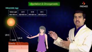 Chemical carcinogenesis and carcinogens  Usmle step 1 Pathology Neoplasia  Dr G Bhanu Prakash [upl. by Aksehcnarf534]