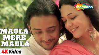 Maula Mere Maula  4K Video  Anwar  Siddharth Koirala Nauheed Cyrusi  Romantic Song filmigaane [upl. by Ahsemik]