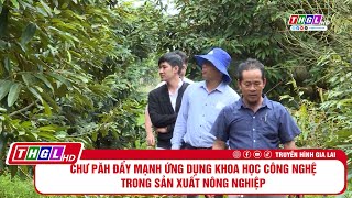 Chư Păh đẩy mạnh ứng dụng khoa học công nghệ trong sản xuất nông nghiệp [upl. by Wamsley]