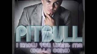 PitbullI Know you want me calle ochooriginalLyrics [upl. by Revkah]