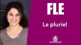 Le pluriel  FLE  Niveau A2  Les Bons Profs [upl. by Pulsifer609]